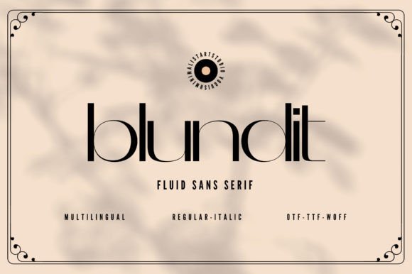 Blundit: A Modern Sans Serif Font for Campaign Design
