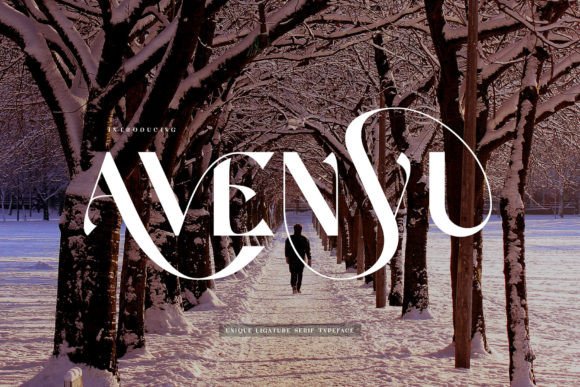 Discover Avenyu – A Modern Nostalgic Sans Serif Font