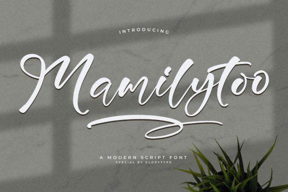Discover Mamilytoo: A Modern Script Font for Creative Branding