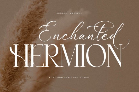 Enchanted Hermion: A Serif Font for Elegant Branding