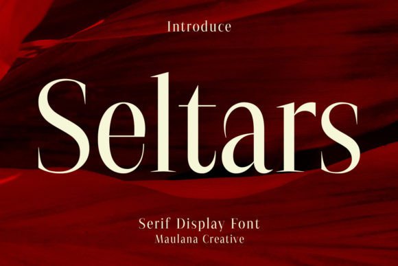 How Seltars Elevated My Brand’s Visual Identity