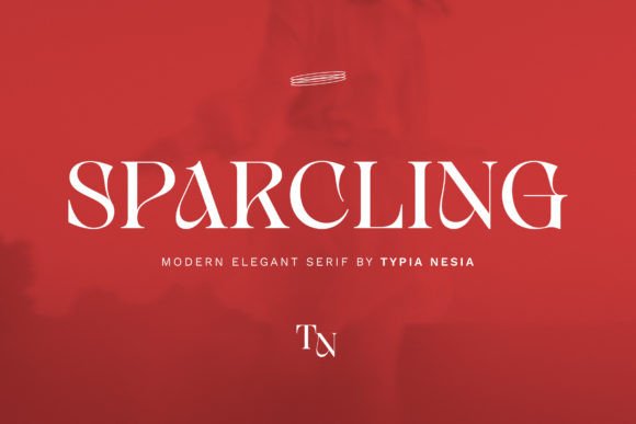 Sparcling Serif Font for Handmade Creations